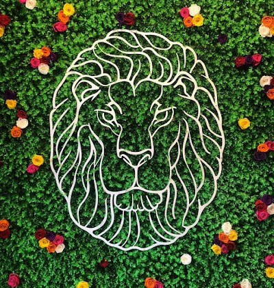 Lucky Lion Outlet Weed Dispensary Eugene