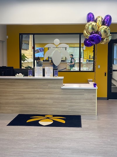 Lume Cannabis Co. - Berkley