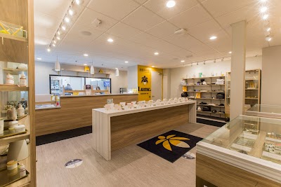 Lume Cannabis Dispensary Big Rapids, MI