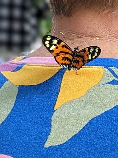 Lume Cannabis Dispensary Jackson, MI