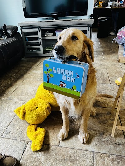 LunchBox Cannabis Dispensary