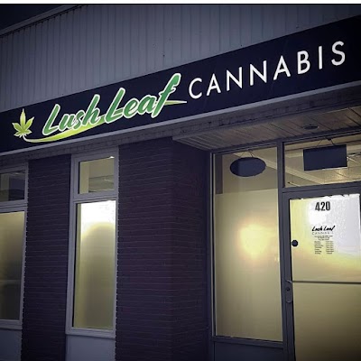 Lush Leaf Cannabis