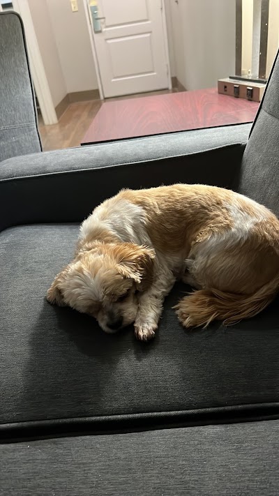 Maggie's Farm Marijuana Dispensary