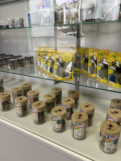 Magic Tree Collective