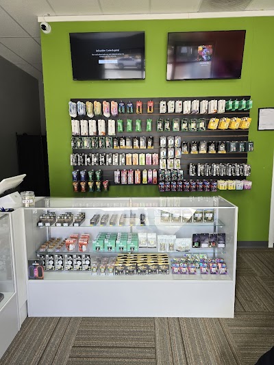 Magic Tree Collective