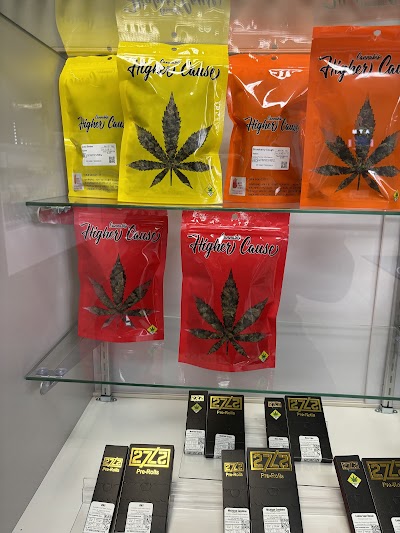 Magic Tree Collective