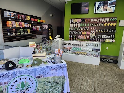 Magic Tree Collective