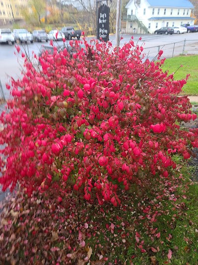 Maine Medical Canna Connection