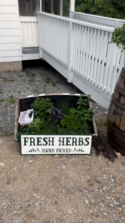 Maine Only Cannabis Shop Recreational 21+