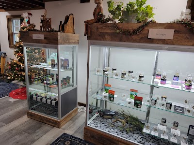 Maine Only Cannabis Shop Recreational 21+