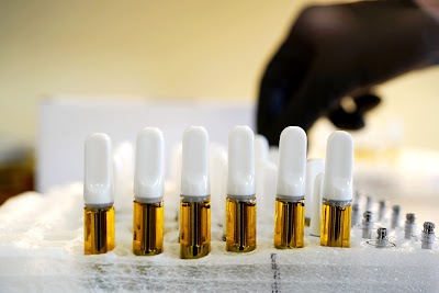 Maine's Alternative Caring