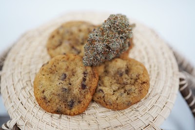 Maine's Alternative Caring