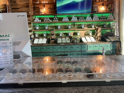 Maine's Alternative Caring