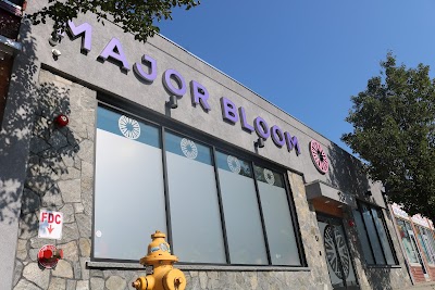 Major Bloom | Worcester Cannabis Dispensary