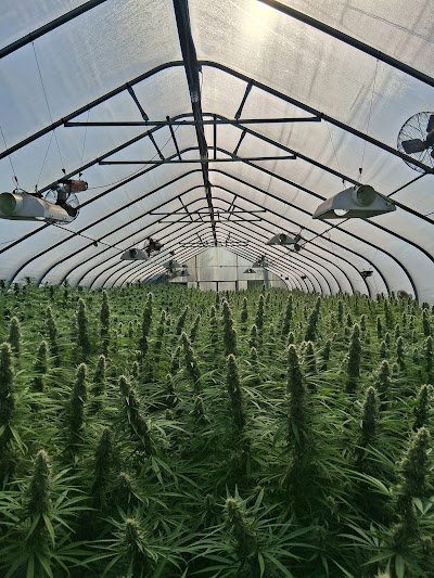 Major League Bud Dispensary- Portland Dispensary Near PDX Airport