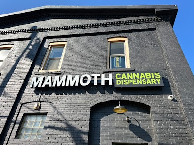 Mammoth Cannabis