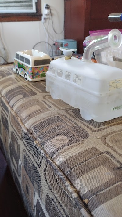 Mango Cannabis Marijuana Weed Dispensary Enid