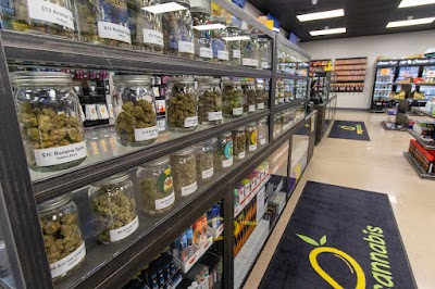 Mango Cannabis Marijuana Weed Dispensary Lawton