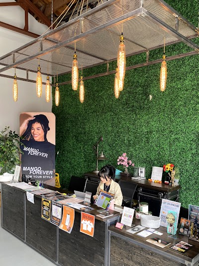 Mango Cannabis Marijuana Weed Dispensary Norman