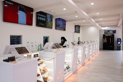 Mango Cannabis Weed Dispensary Rochester