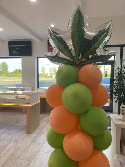 Mango Cannabis Weed Dispensary Rochester