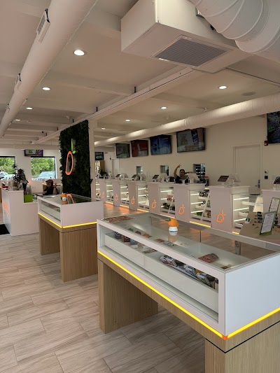 Mango Cannabis Weed Dispensary Rochester
