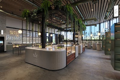 March and Ash Imperial Beach Dispensary