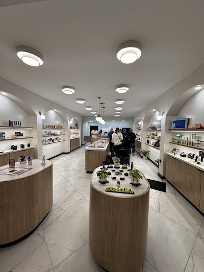 Maryjane Cannabis Co. | NYC Dispensary