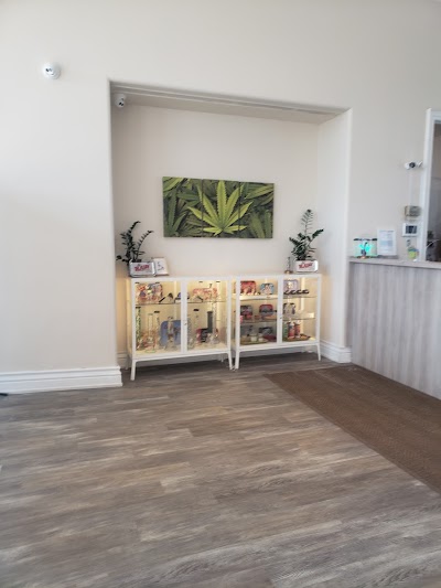 MaryJane's Weed Dispensary North York