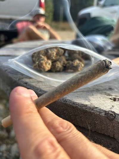 MaryJane's Weed Dispensary York