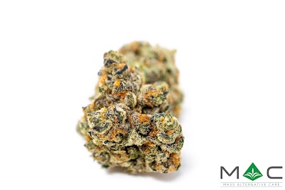 Mass Alternative Care Amherst Dispensary