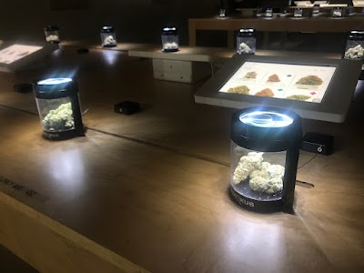 Meduana Medical Dispensary