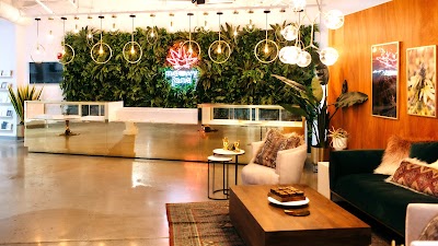 Meowy Jane, Portland Maine Recreational Cannabis, 21+