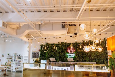 Meowy Jane, Portland Maine Recreational Cannabis, 21+