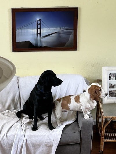 Mercy Wellness of Cotati