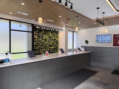 Milligrams: Mount Laurel Recreational Cannabis Dispensary NJ