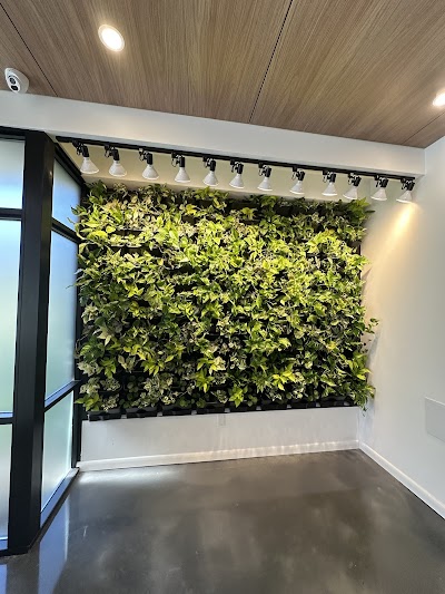 Milligrams: Mount Laurel Recreational Cannabis Dispensary NJ