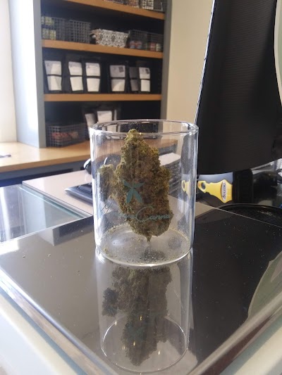 Minerva Canna: Dispensary | SF, NM