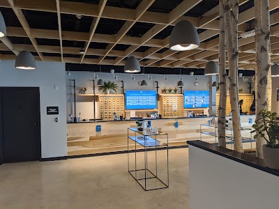 Mint Cannabis - Bradenton