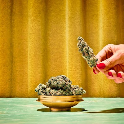 Mint Cannabis - Gainesville