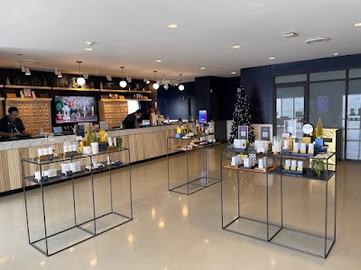 Mint Cannabis - Longwood