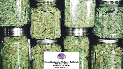 Modesto Cannabis Collective - Dispensary