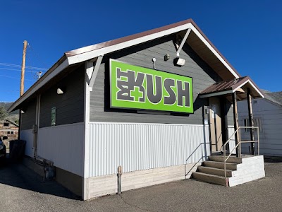 Montana Kush - Butte Dispensary