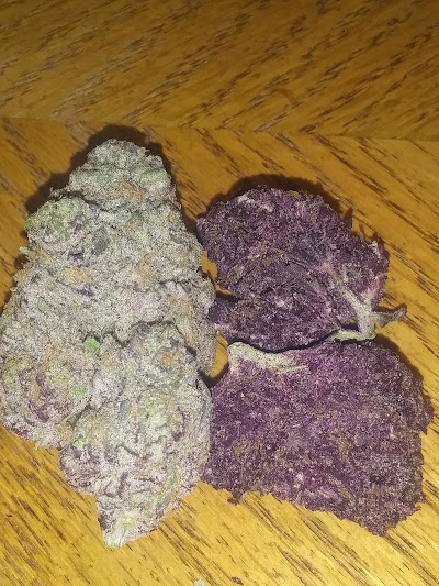 Montana Kush - Helena Dispensary