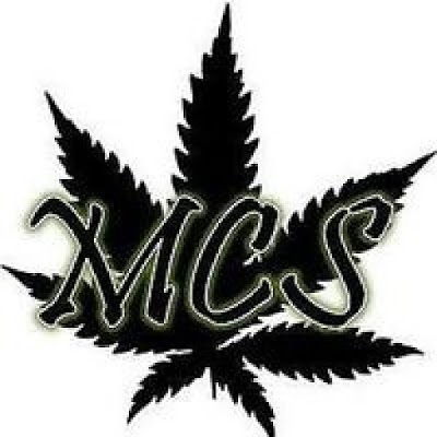 Montreal Cannabis Seeds