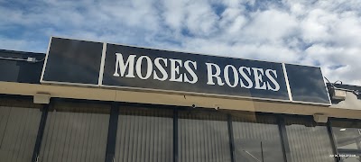 Moses Roses - Port Huron