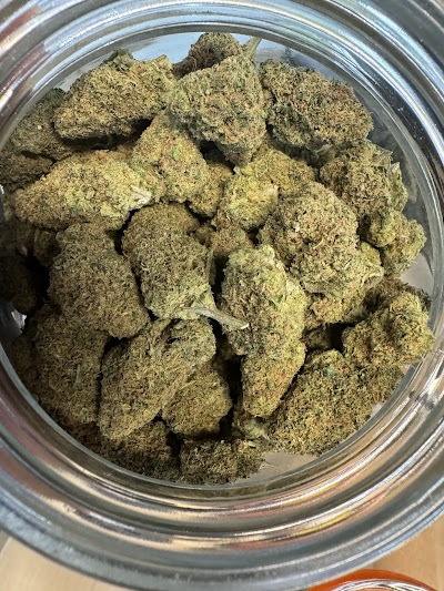 Mota-Vated Dispensary