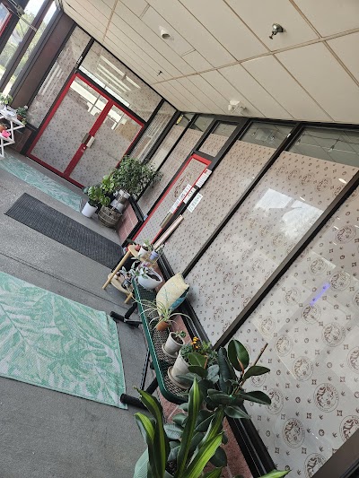 MothaPlant Dispensary