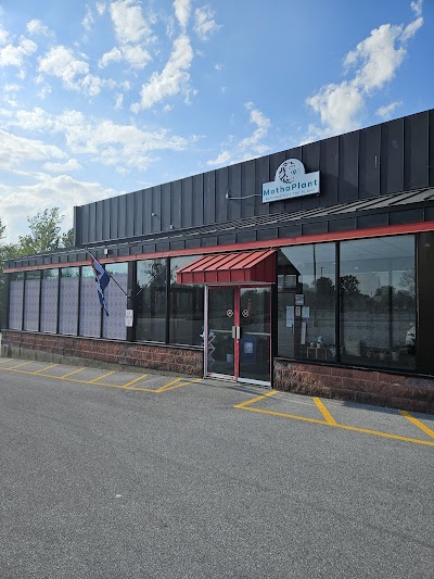 MothaPlant Dispensary