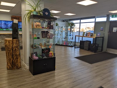 Mountain Standard Cannabis | Cannabis Store | Edmonton